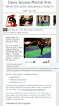 Mobile Screenshot of davissquaremartialarts.com